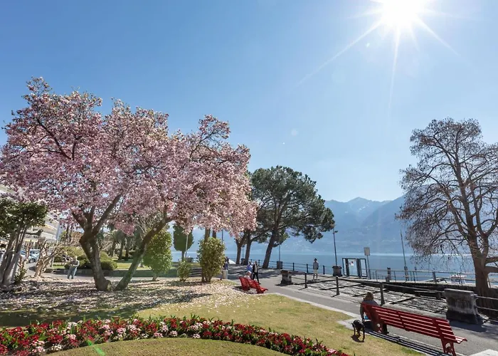 Residenza Corallo-20 By Interhome * Ascona